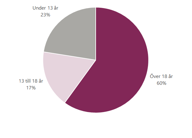 Diagram över om ålder på den som skadats av fyrverkerier, 23 % var under 13 år, 17 % var 13 till 18 år och 60 % var över 18 år.